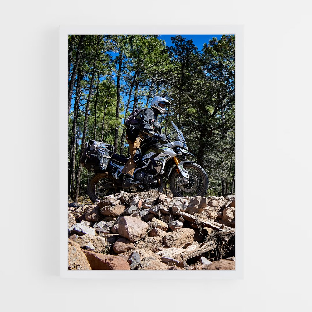 Poster majestueux Tiger rally – affiche Triumph (vue 3)